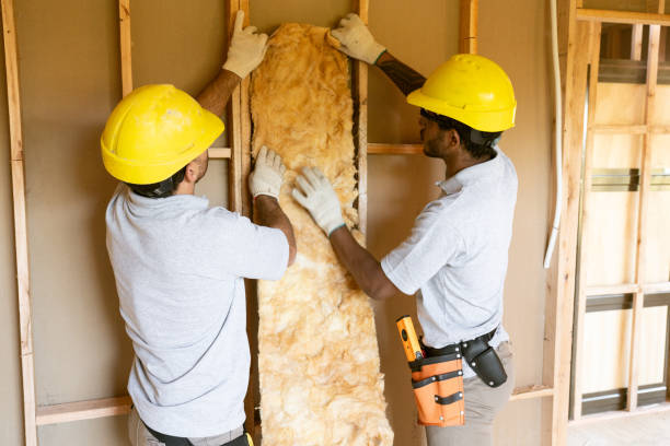 Best Wall Insulation Contractor  in Gallatin, TN